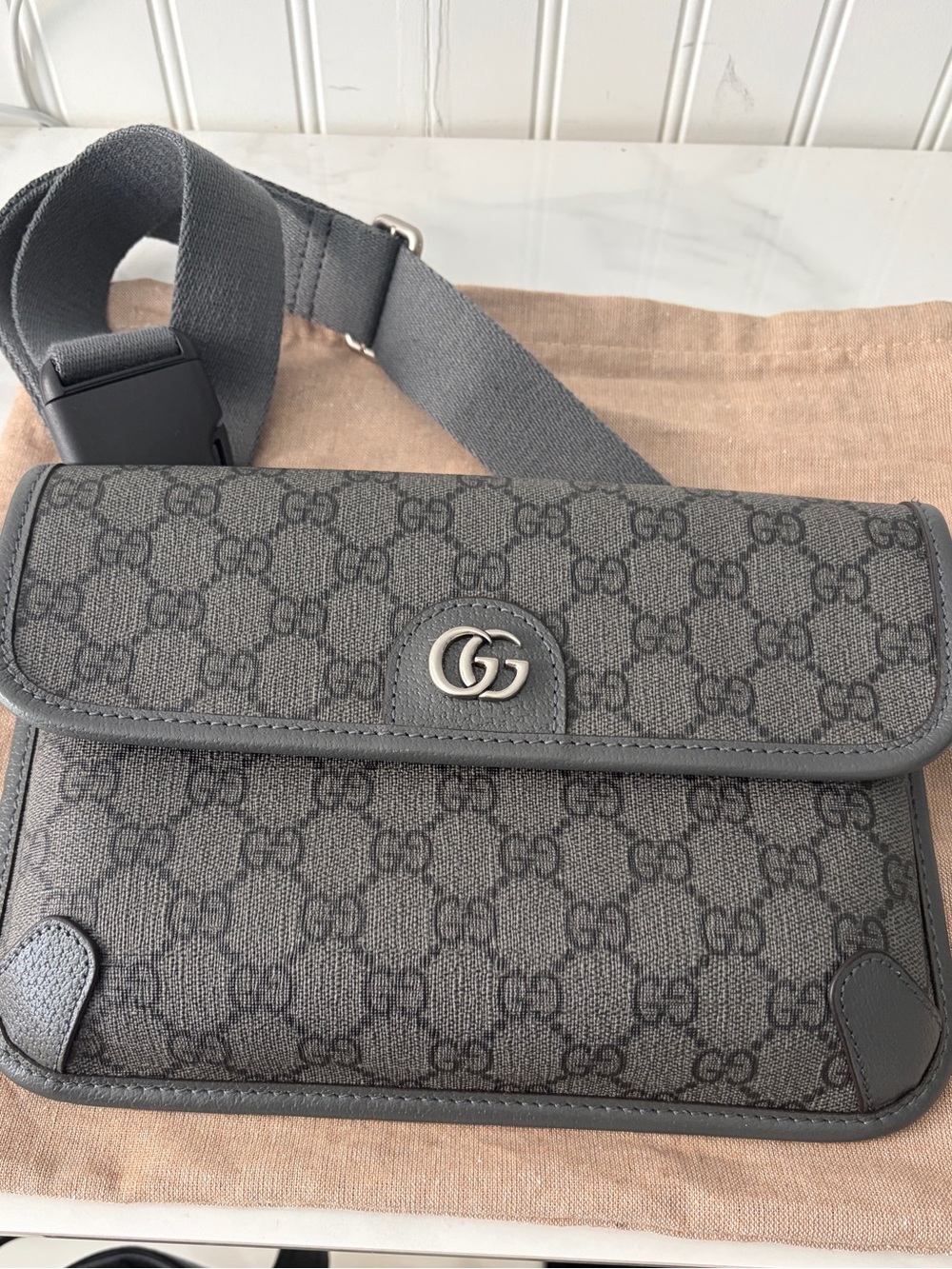 Gucci Gray GG Supreme Crossbody Bag with Silver Double G